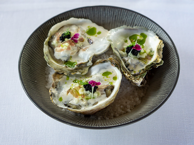 Lombok Oysters