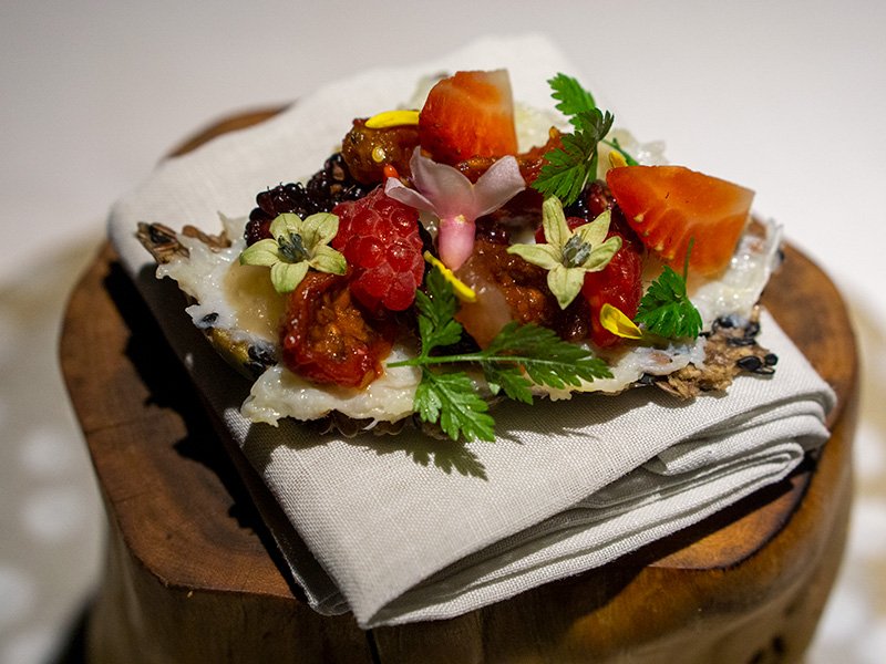 The Plant Based: The Seed