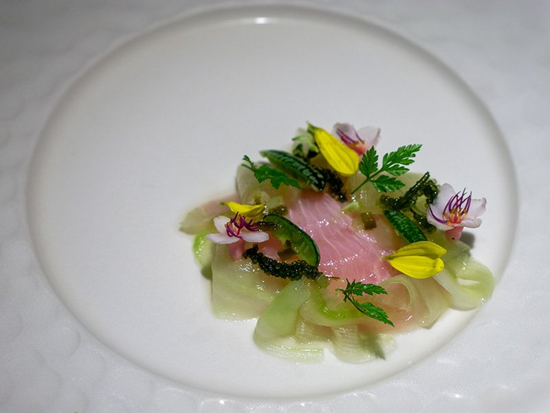 The Plant Based: Cucumber