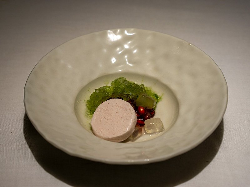 The Gourmet and The Plant Based: Berries & Aloe Vera (Gluten Free, Diary Free)