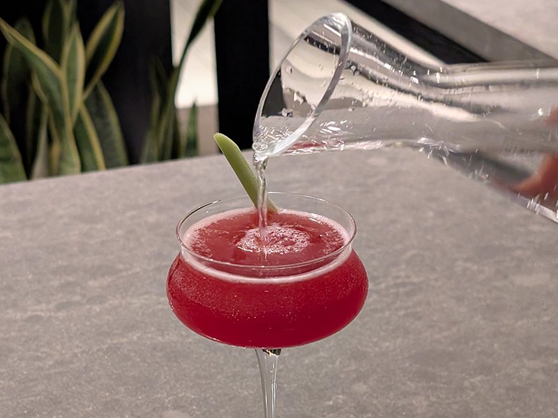Rosella & Lemongrass